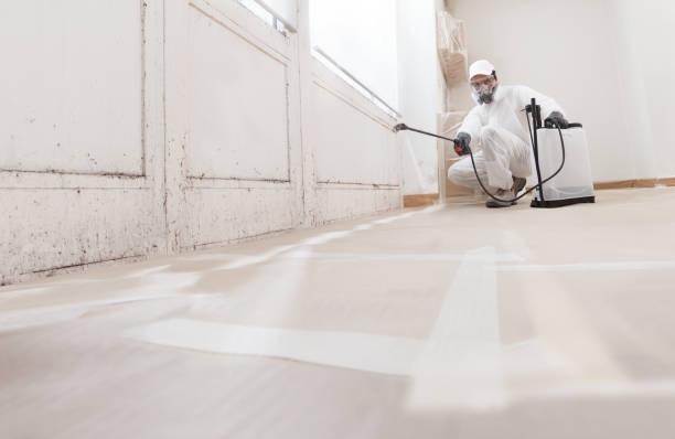 24/7 Emergency Bathroom Mold Removal experts in Meyersdale, PA